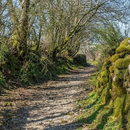 Linden Barn Tatil Evi