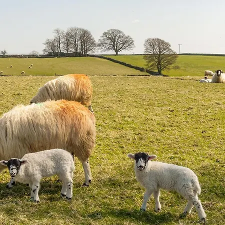 Tatil Evi Linden Barn Orton (Cumbria)